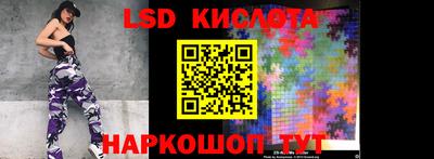 прущие грибы Конаково