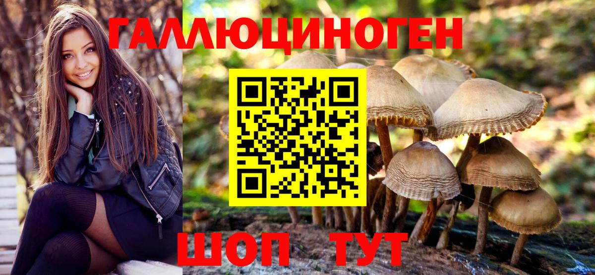 Кирово-Чепецк  Галлюциногенные грибы Psilocybe  Вход с VPN  купить наркотик  Псилоцибиновые грибы Psilocybine cubensis 
